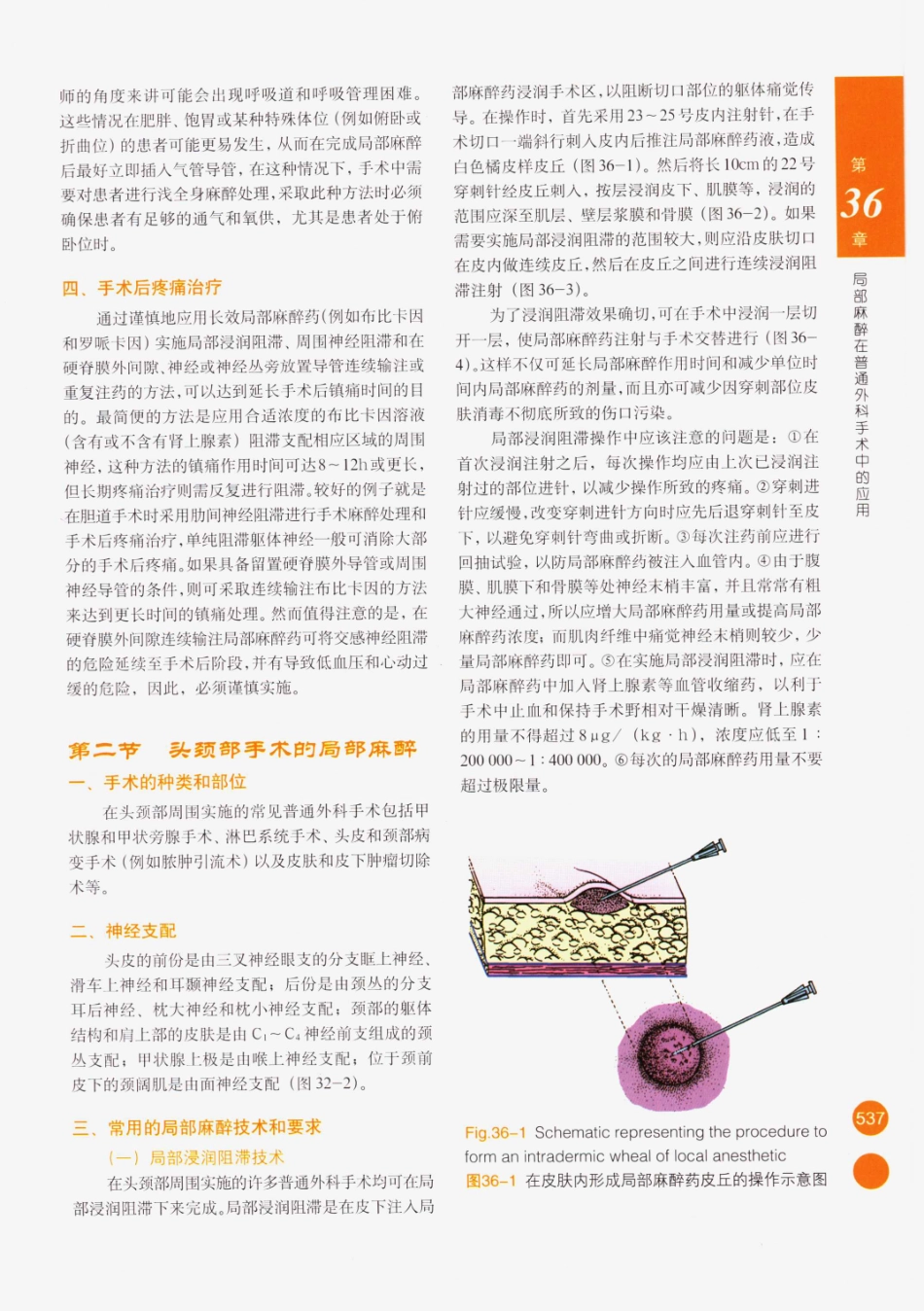 临床局部麻醉技术_551-575.pdf_第2页