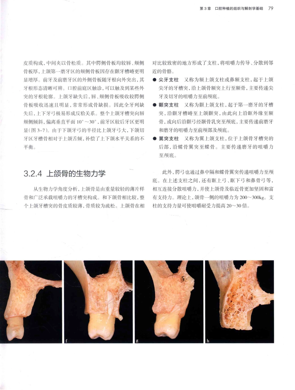 口腔种植学（第2版）_宿玉成主编_2014年（彩图）_121-150.pdf_第2页