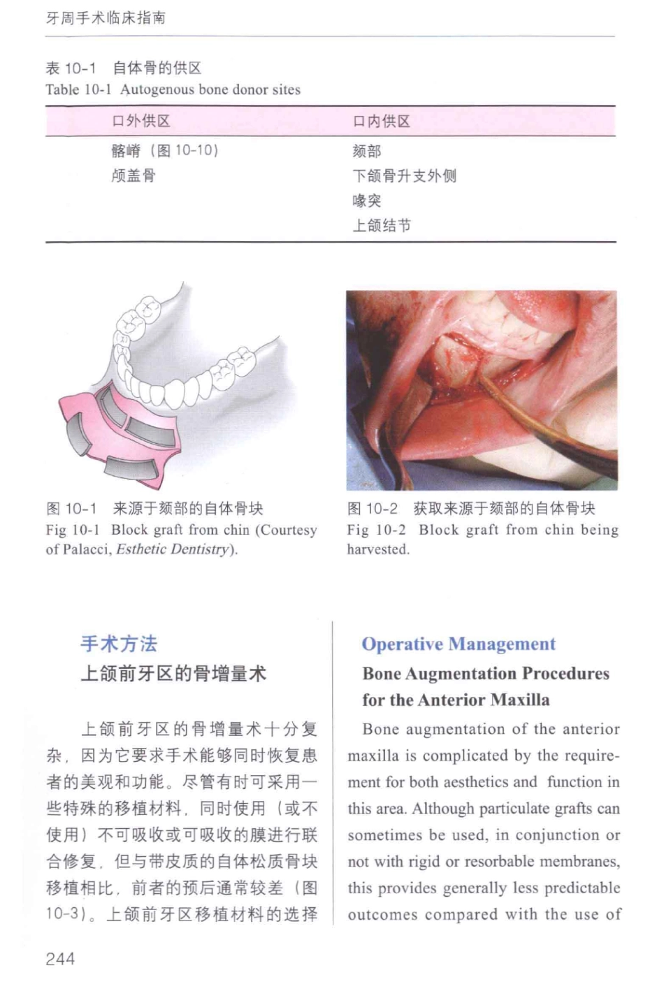 牙周手术临床指南 中英文对照_俞雪芬2013（彩图）_253-264.pdf_第2页