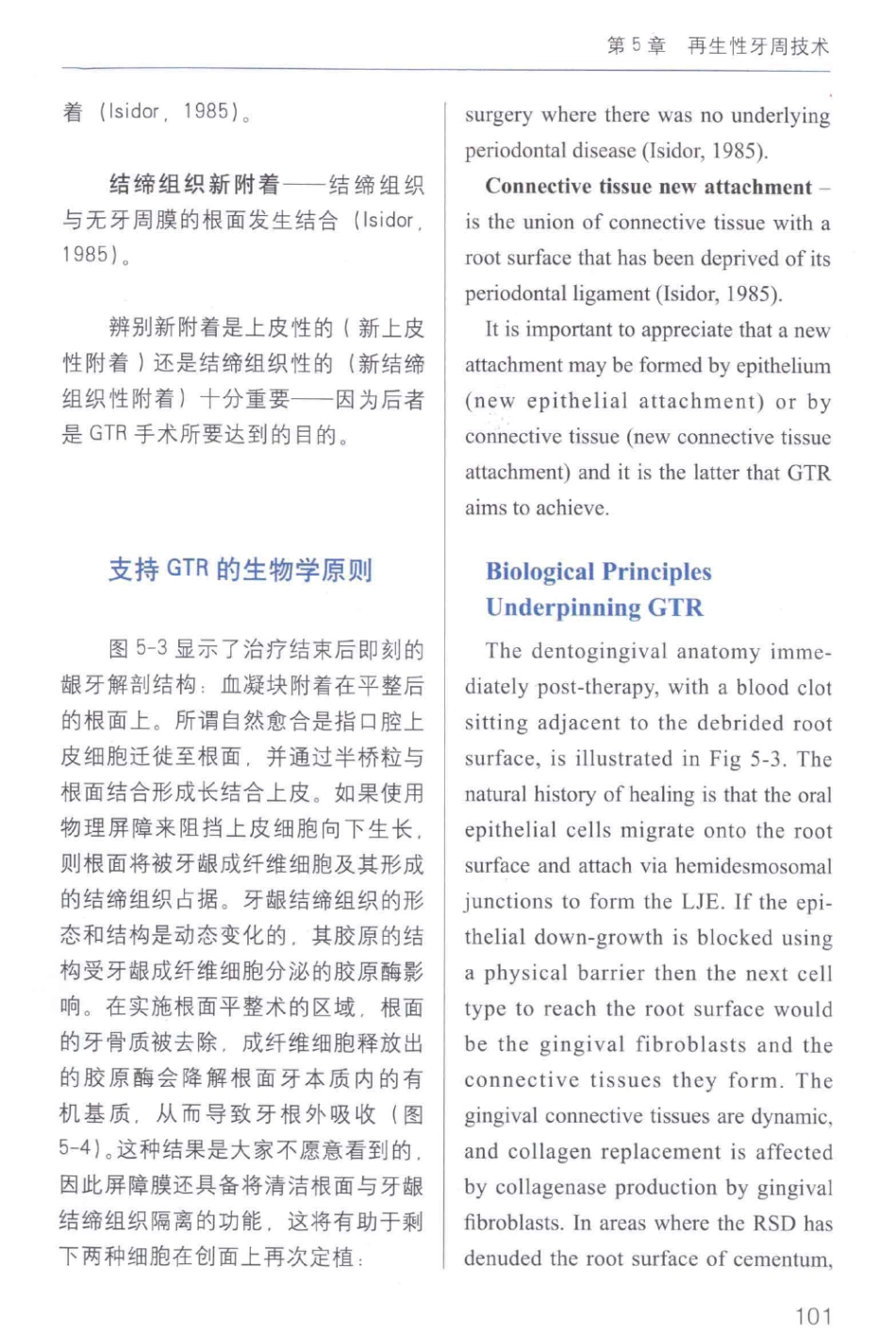 牙周手术临床指南 中英文对照_俞雪芬2013（彩图）_109-120.pdf_第3页