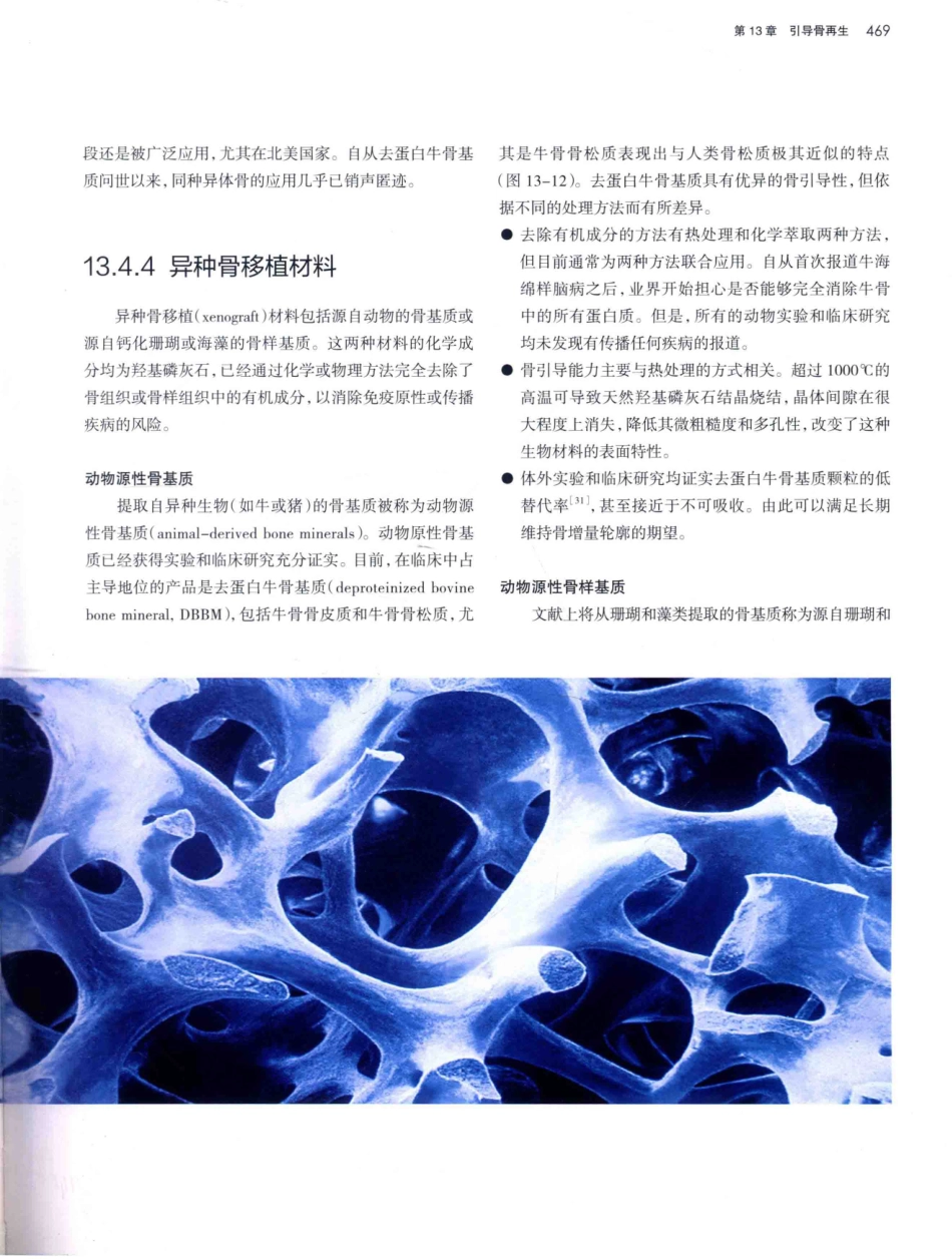 口腔种植学（第2版）_宿玉成主编_2014年（彩图）_511-540.pdf_第2页