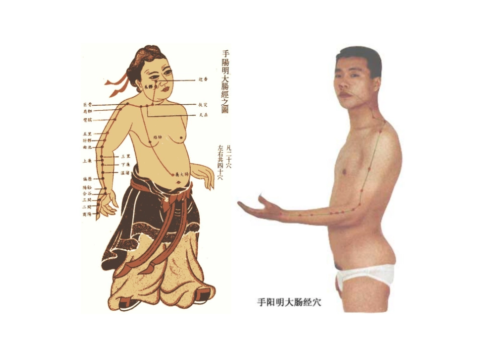 医学学科：2.手阳明大肠经.pdf_第2页