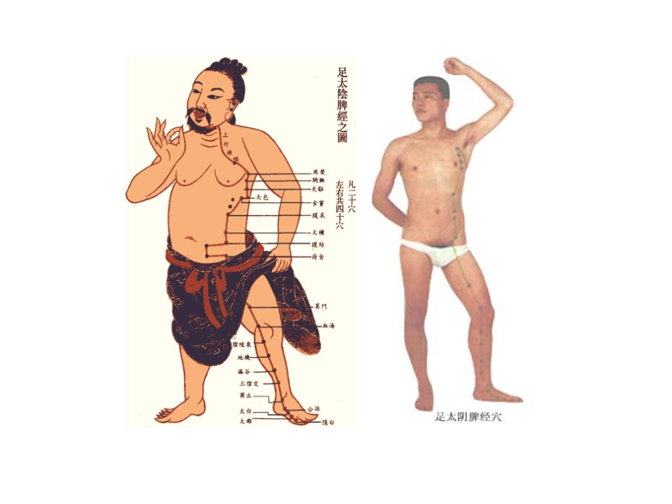 医学学科：4.足太阴脾经.pdf_第2页