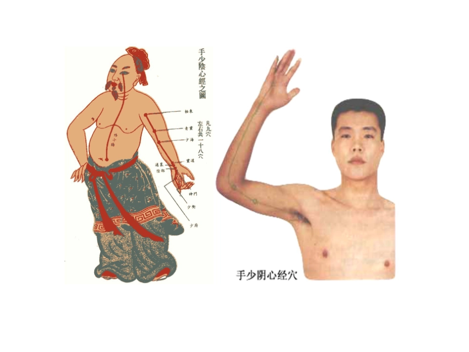 医学学科：5.手少阴心经 .pdf_第2页