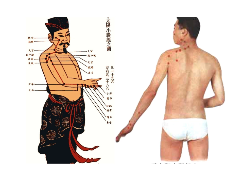 医学学科：6.手太阳小肠经.pdf_第2页