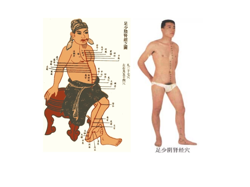 医学学科：8.足少阴肾经.pdf_第2页
