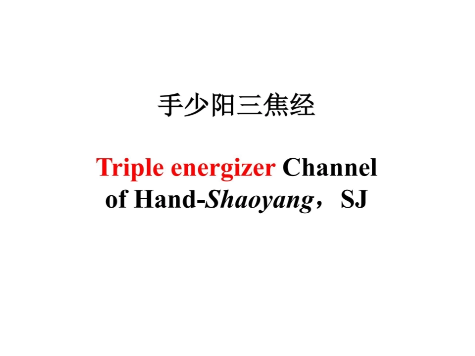 医学学科：10.手少阳三焦经.pdf_第1页