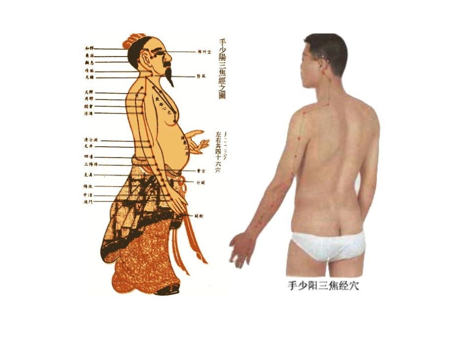 医学学科：10.手少阳三焦经.pdf_第2页