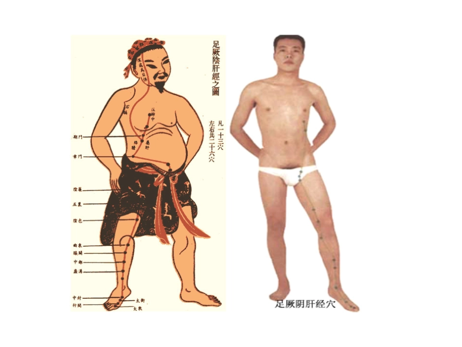 医学学科：12.足厥阴肝经.pdf_第2页