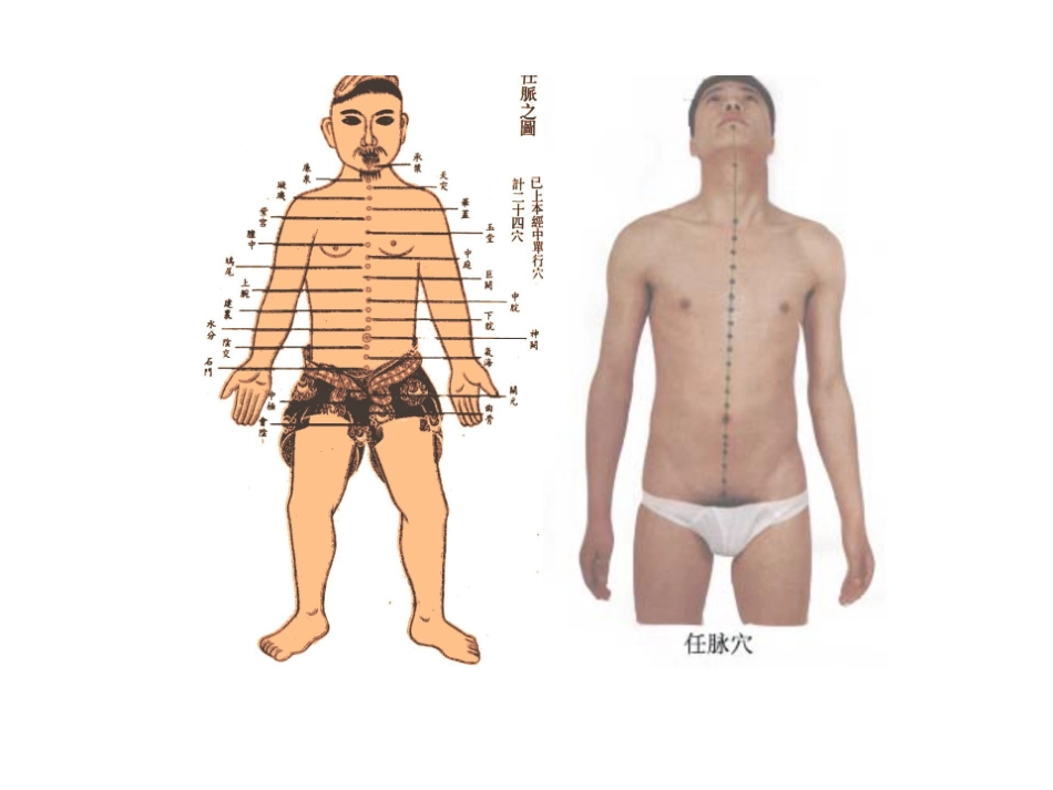 医学学科：14.任脉.pdf_第2页