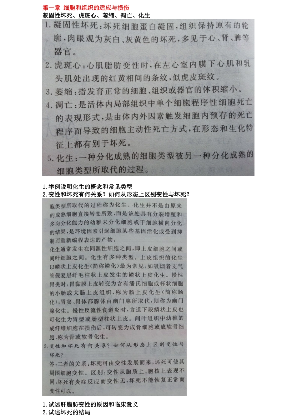 医学学科：病理大纲.doc_第1页