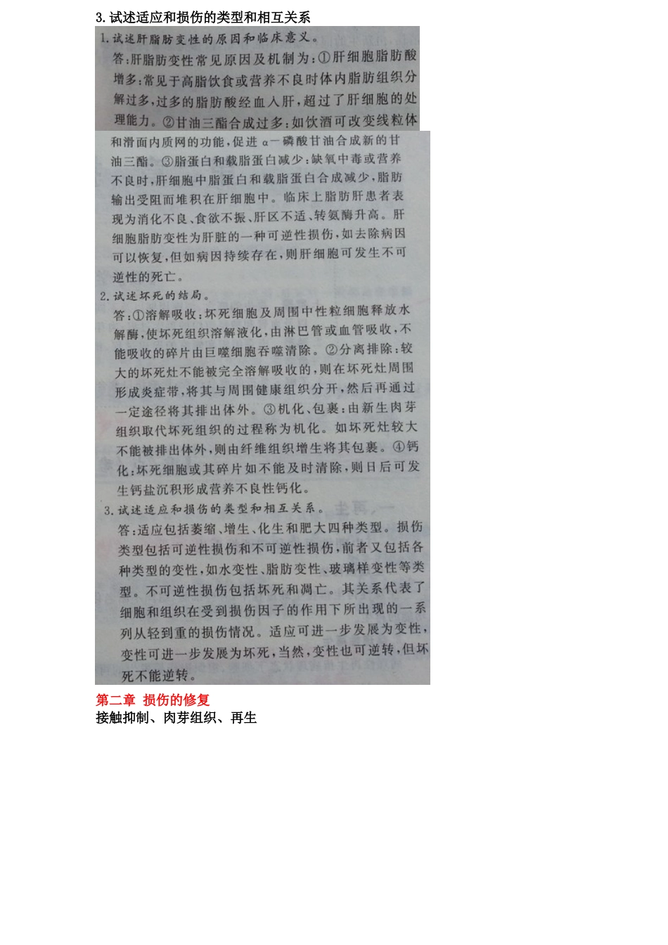 医学学科：病理大纲.doc_第2页