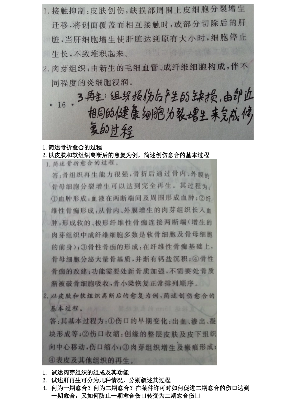 医学学科：病理大纲.doc_第3页