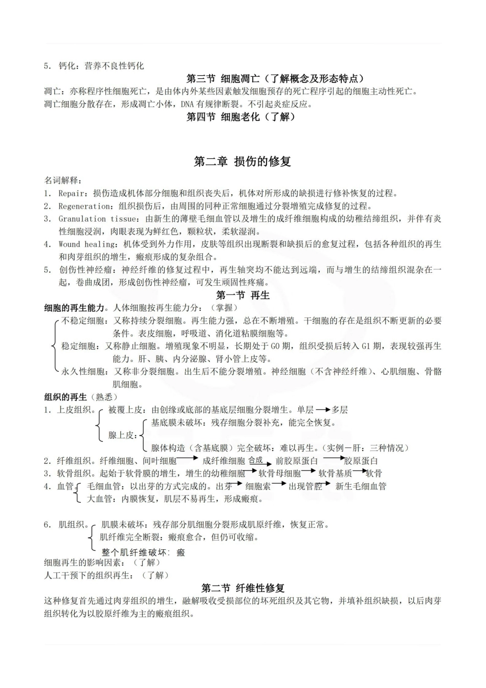 医学学科：病理学—考点汇总.pdf_第3页