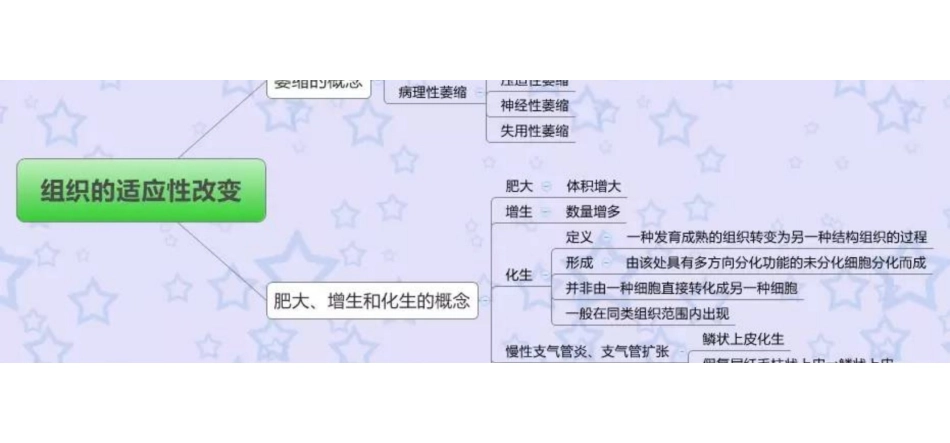 医学学科：病理学—思维导图.pdf_第1页
