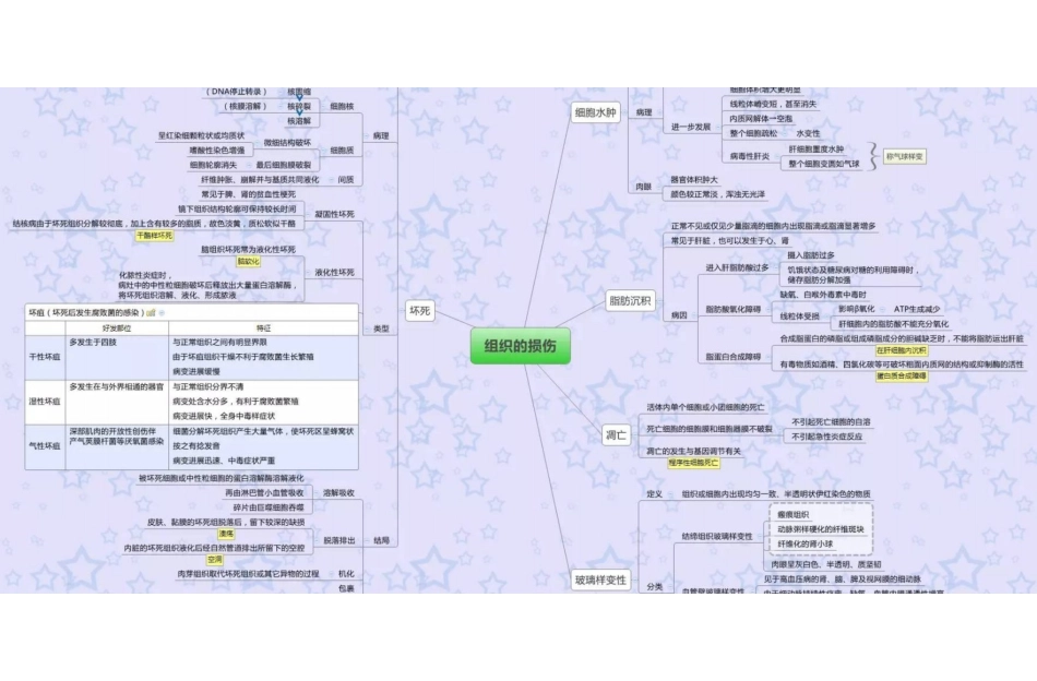 医学学科：病理学—思维导图.pdf_第2页