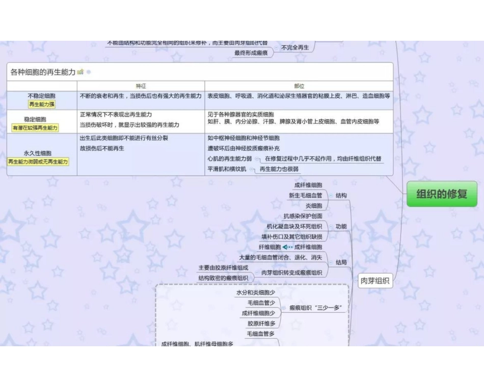 医学学科：病理学—思维导图.pdf_第3页
