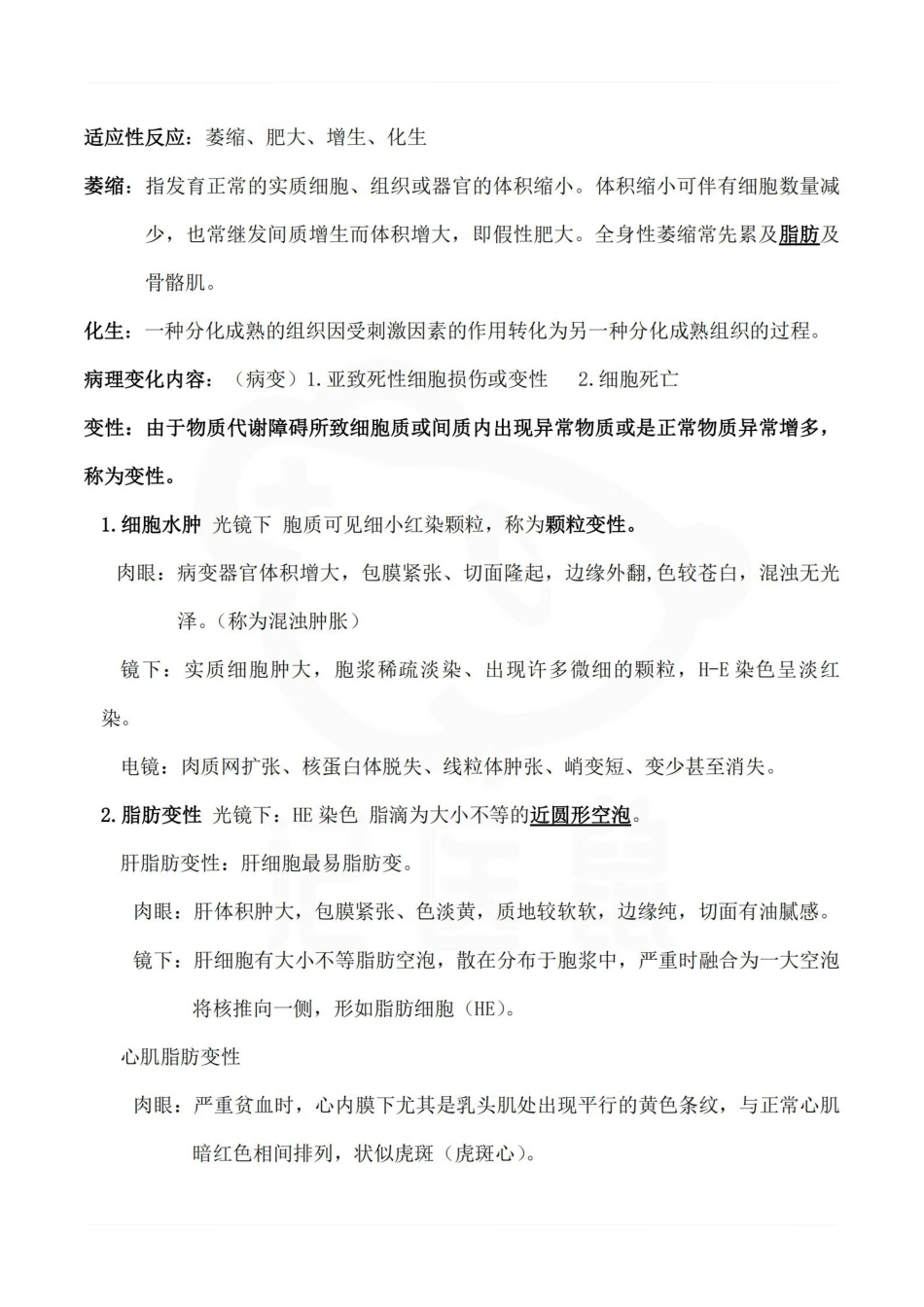 医学学科：病理学—总结.pdf_第3页
