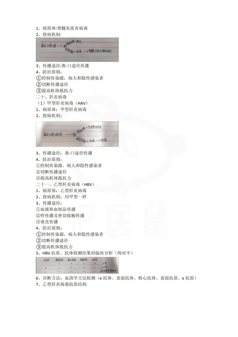 医学学科：病原微生物与免疫学—笔记.pdf_第3页