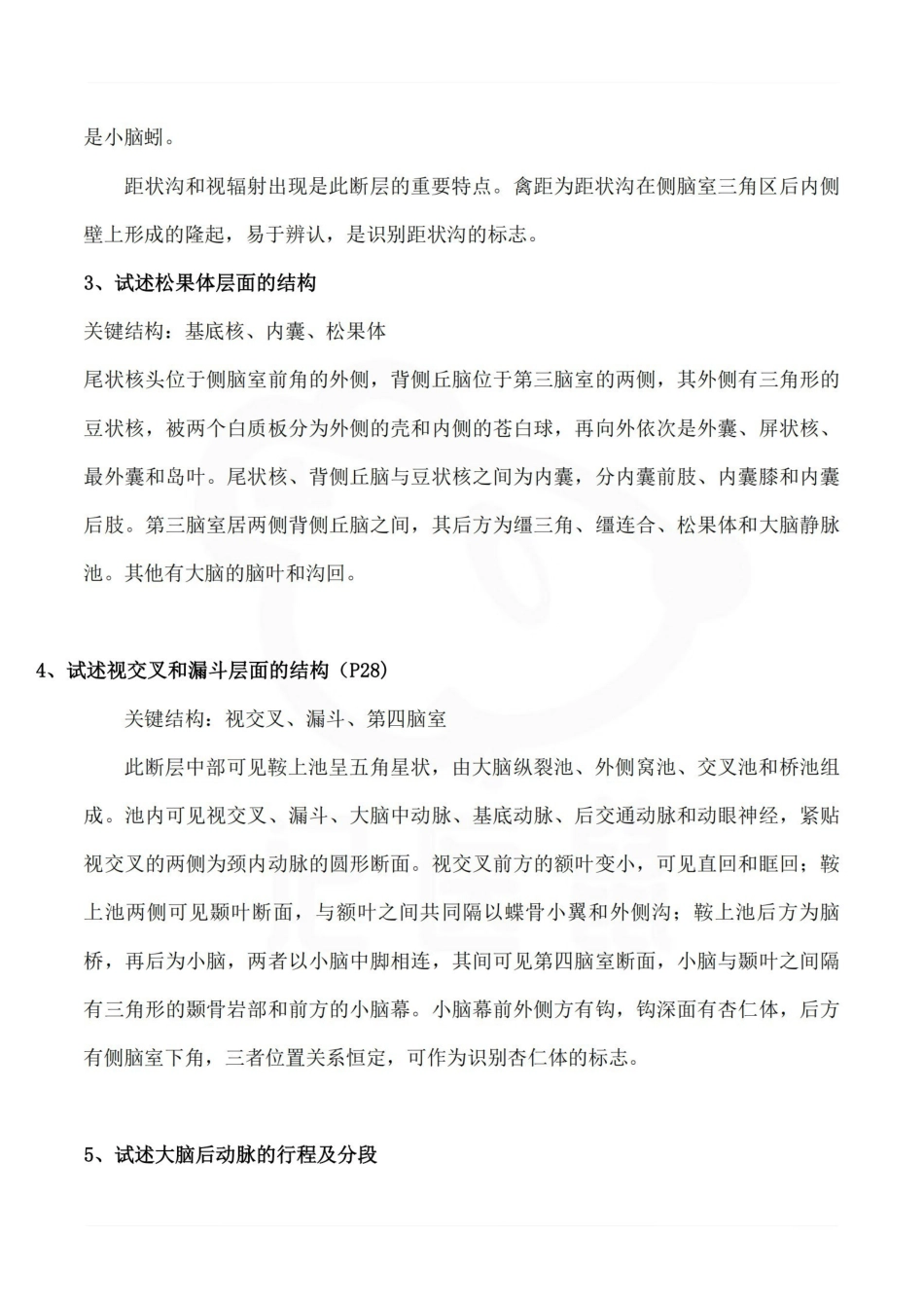 医学学科：断层解剖学—名解简答.pdf_第3页