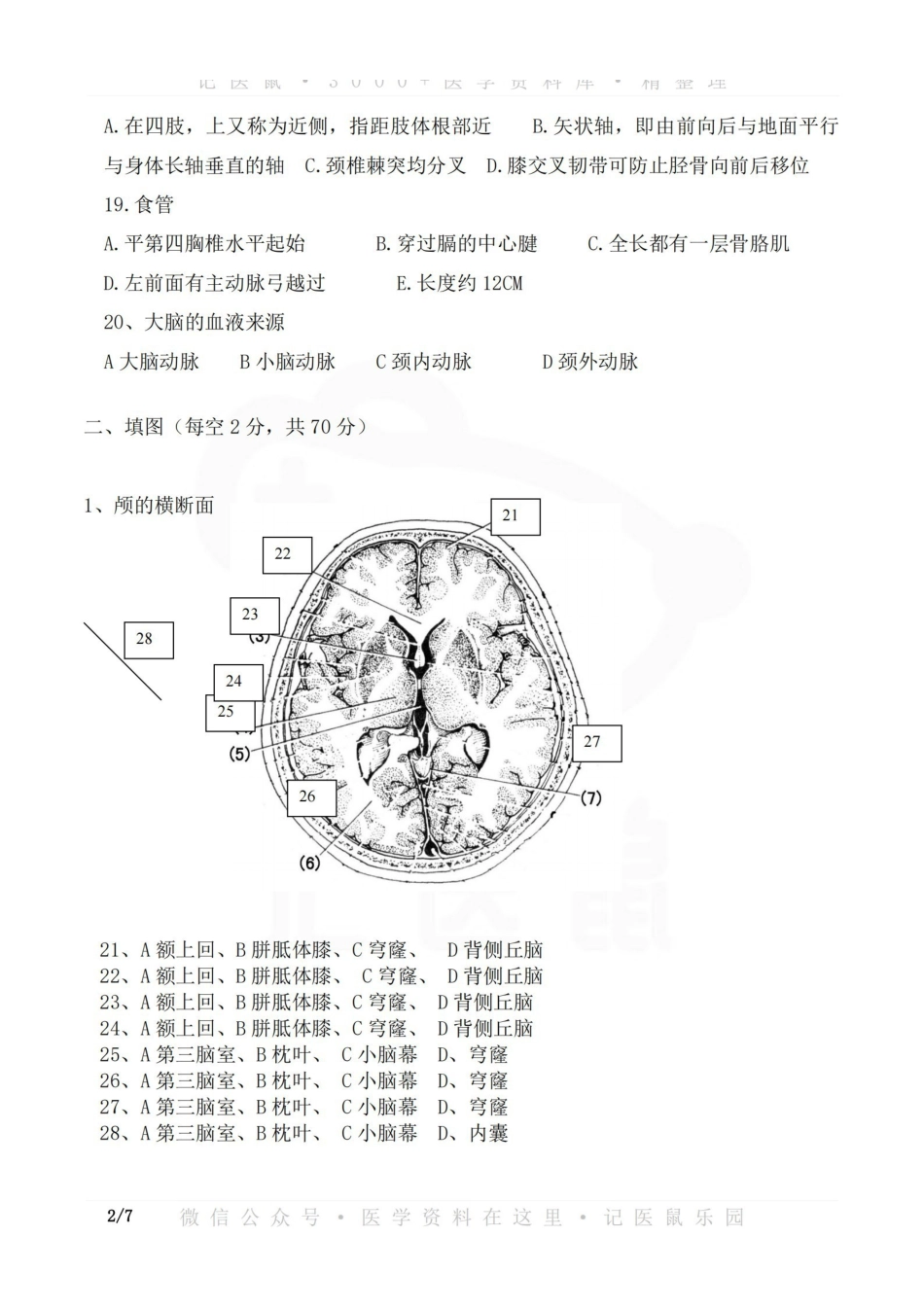 医学学科：断层解剖学—试卷.pdf_第3页