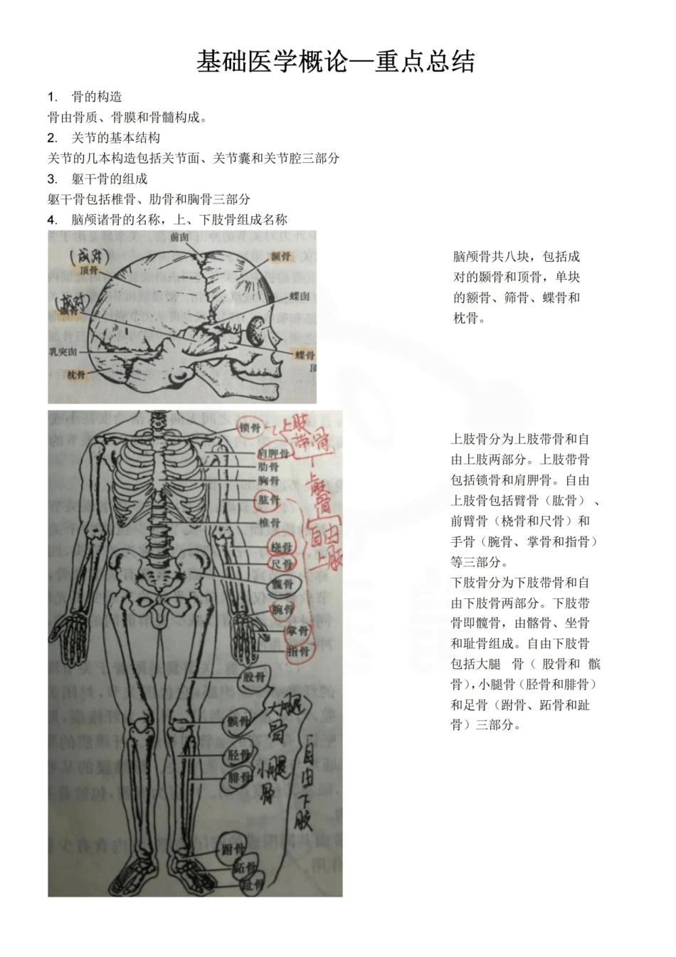 医学学科：基础医学概论—重点总结.pdf_第1页