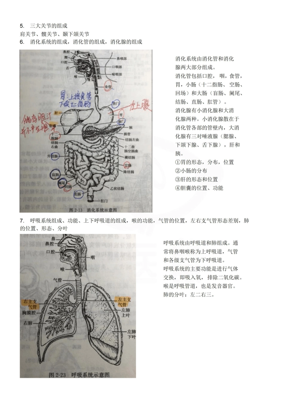 医学学科：基础医学概论—重点总结.pdf_第2页