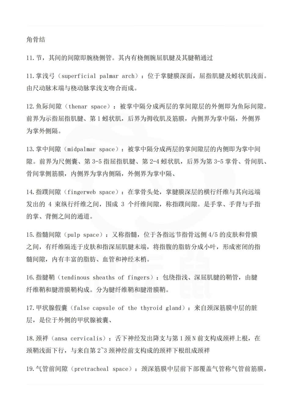 医学学科：局部解剖学 名词解释.pdf_第2页