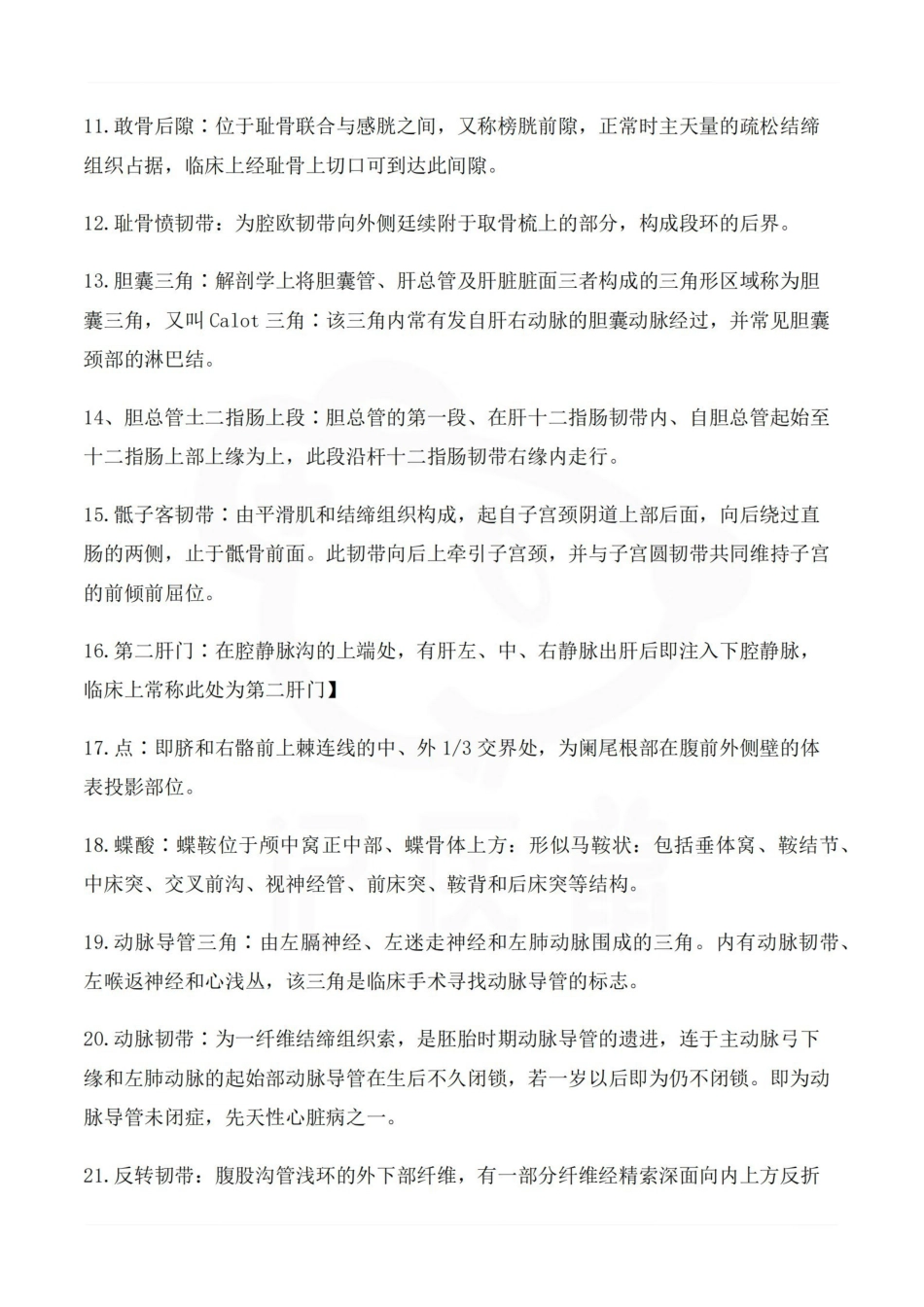 医学学科：局部解剖学 名词解释大汇总.pdf_第2页