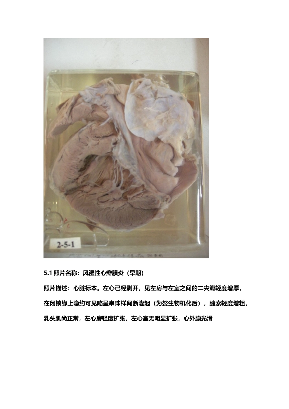 医学学科：考试标本.doc_第1页