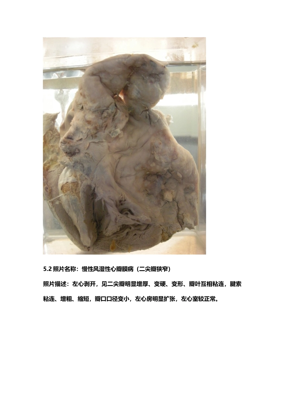 医学学科：考试标本.doc_第2页