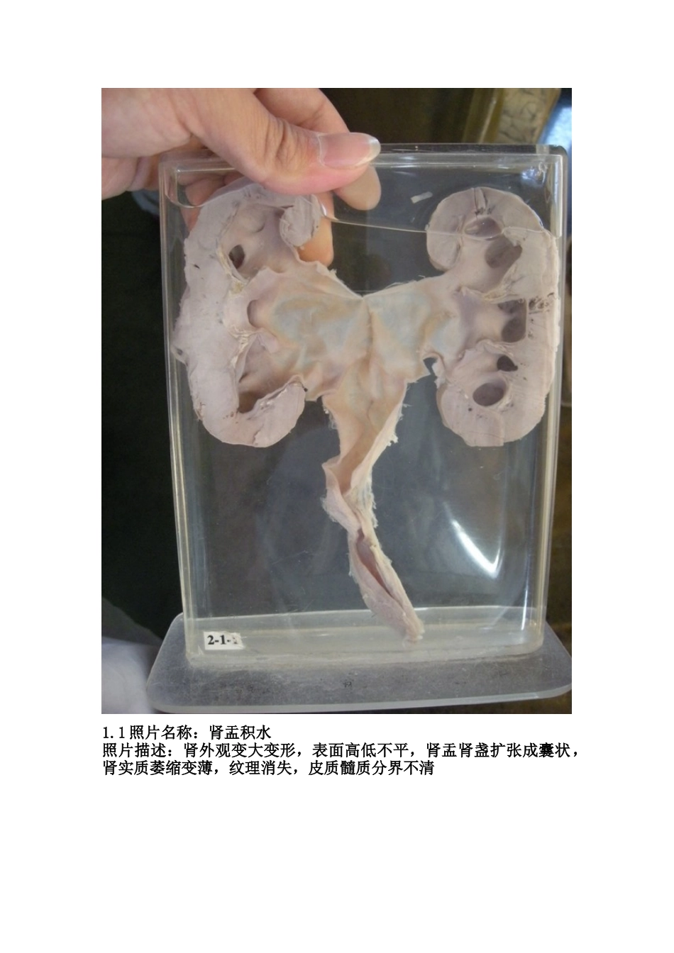 医学学科：考试标本1.doc_第1页