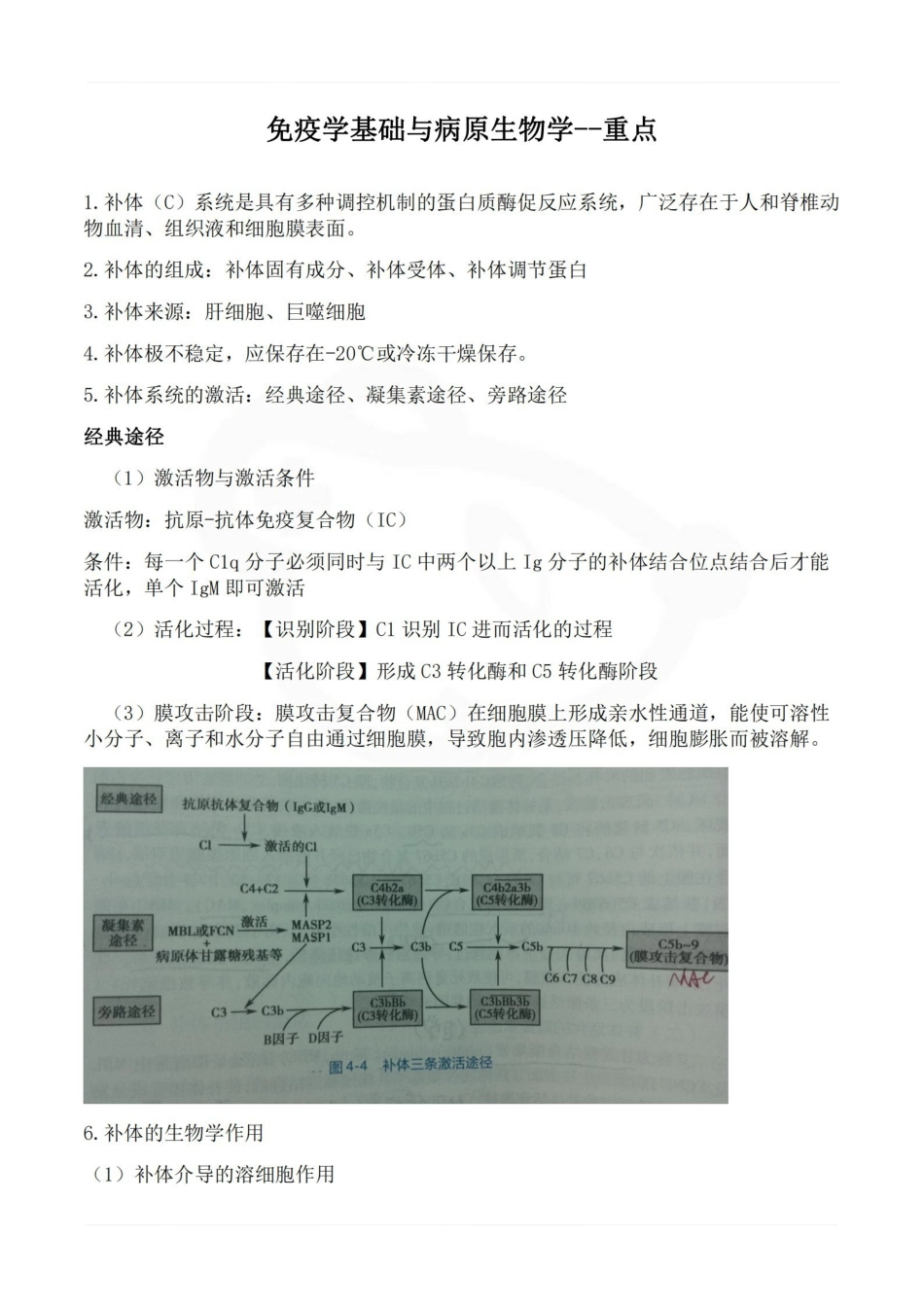 医学学科：免疫学基础与病原生物学--重点.pdf_第1页