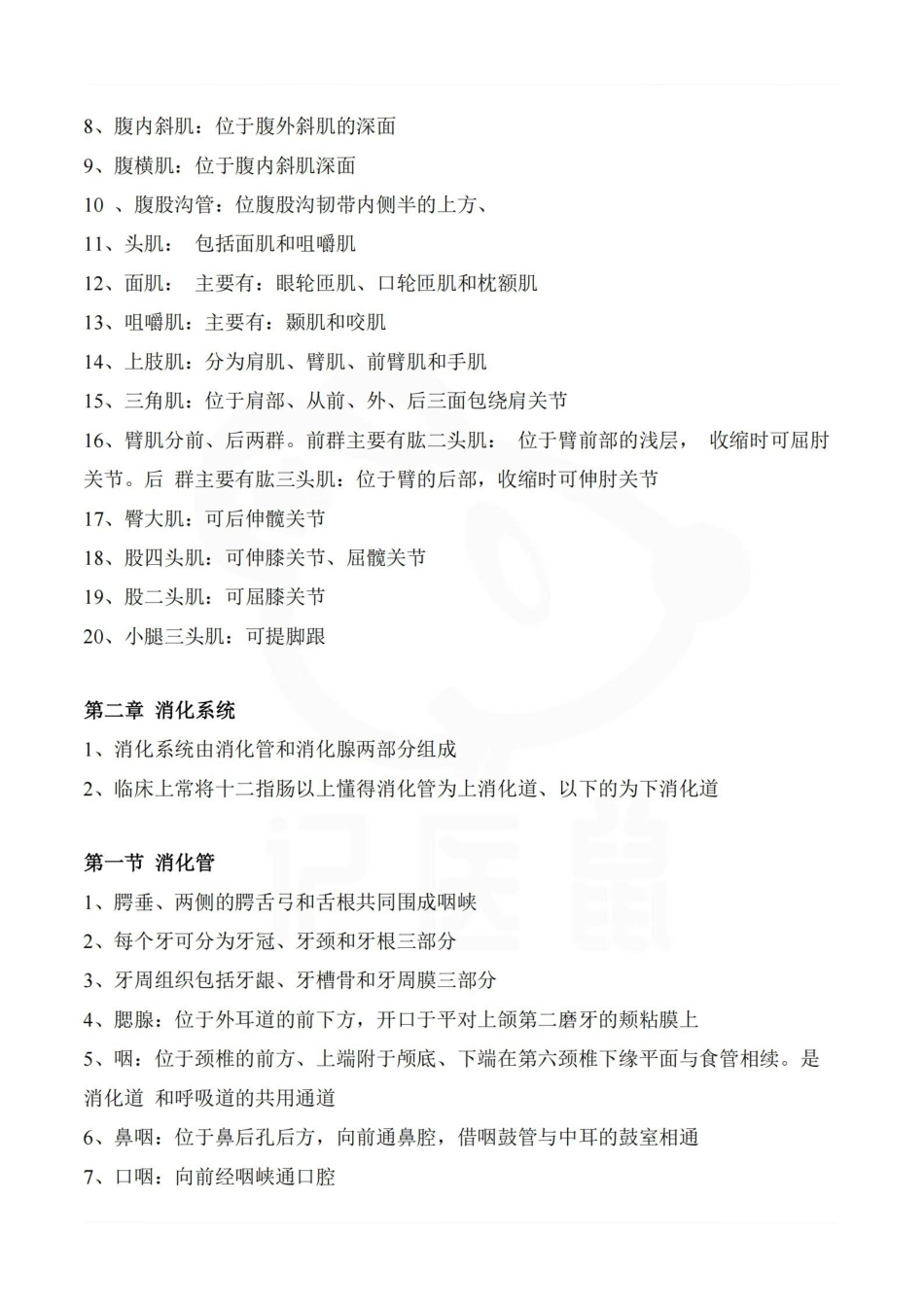医学学科：人体解剖学—整理笔记.pdf_第3页