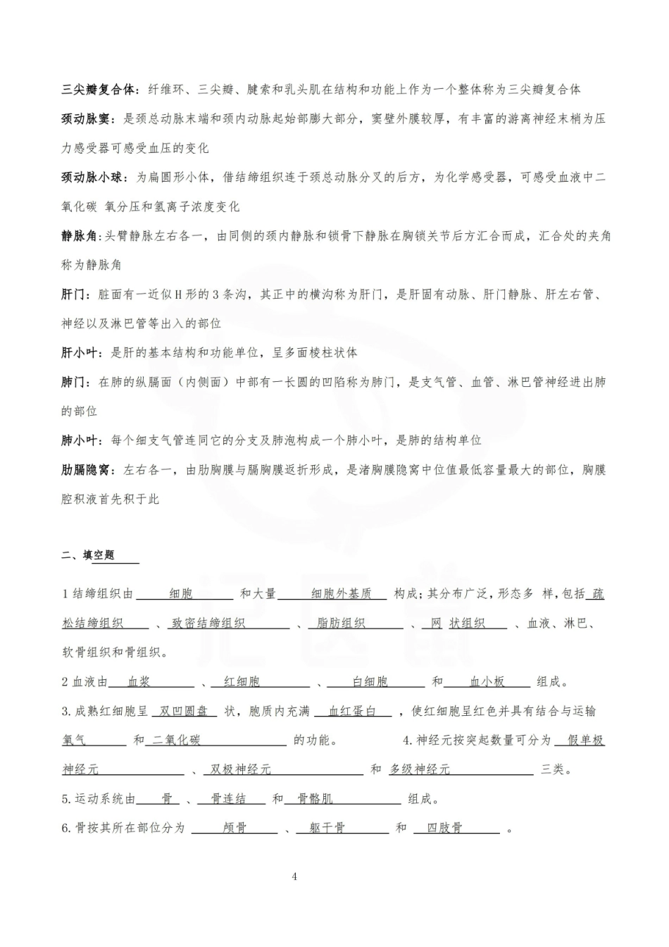 医学学科：人体形态与结构—名解简答.pdf_第3页
