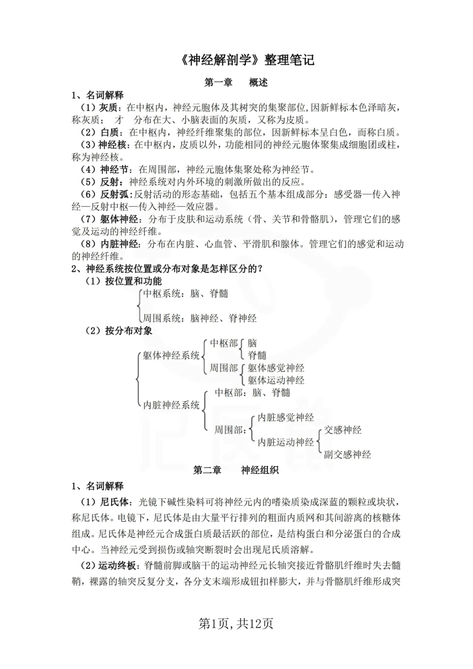 医学学科：神经解剖学--整理笔记.pdf_第1页