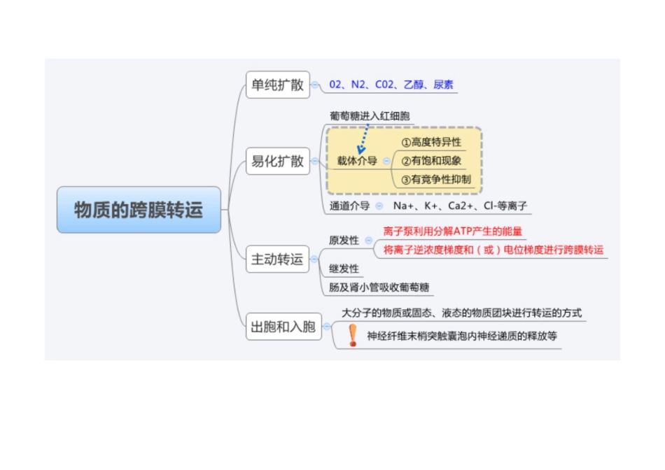 医学学科：生理学--思维导图.pdf_第1页