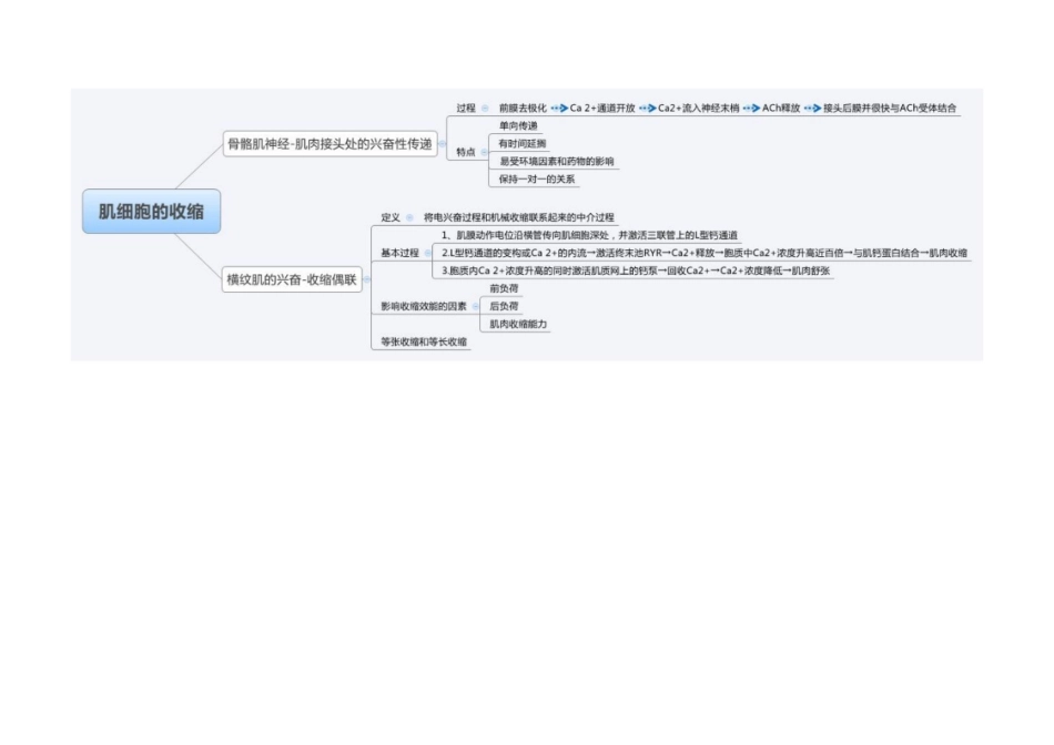医学学科：生理学--思维导图.pdf_第2页