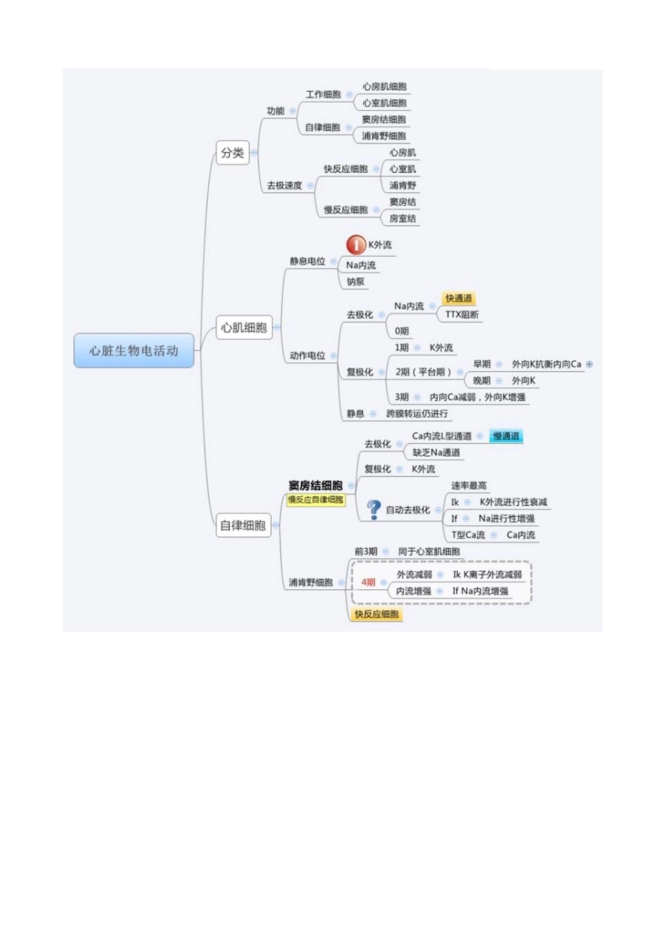 医学学科：生理学--思维导图.pdf_第3页