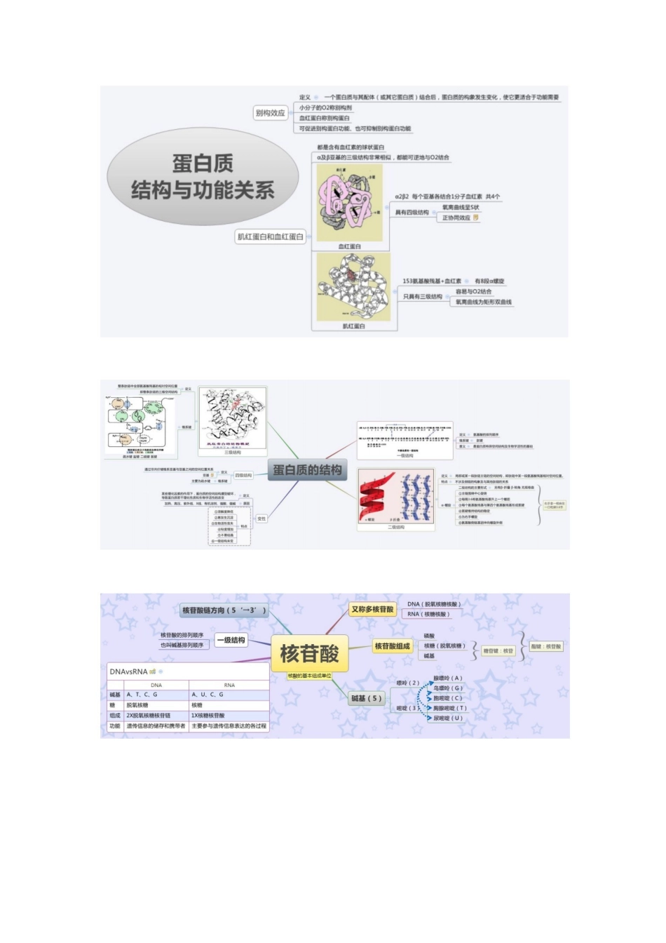 医学学科：生物化学—思维导图A.pdf_第2页