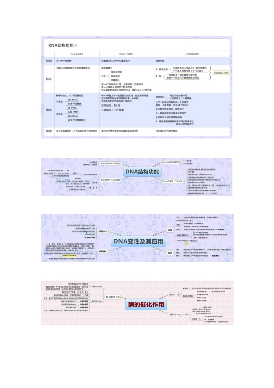 医学学科：生物化学—思维导图A.pdf_第3页