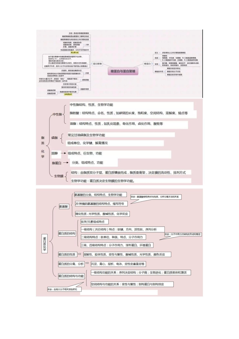 医学学科：生物化学—思维导图B.pdf_第2页