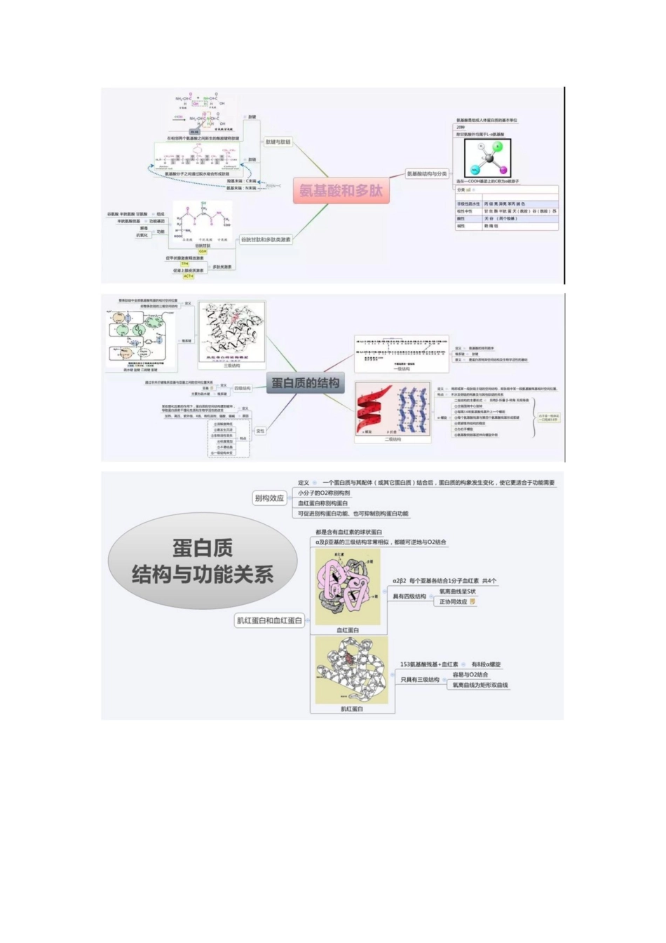 医学学科：生物化学—思维导图B.pdf_第3页