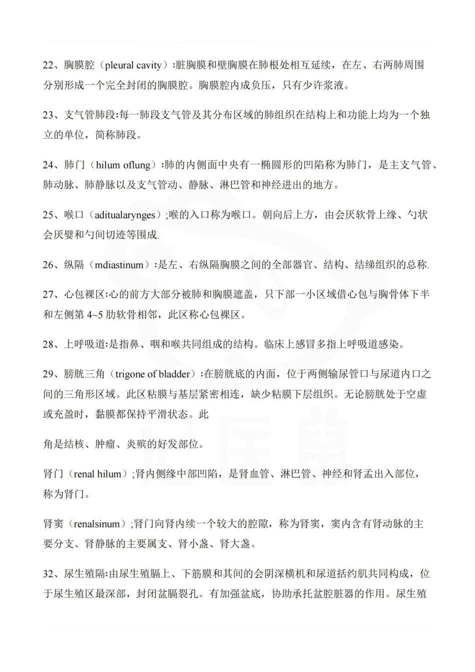 医学学科：系统解剖学--名词解释 B.pdf_第3页