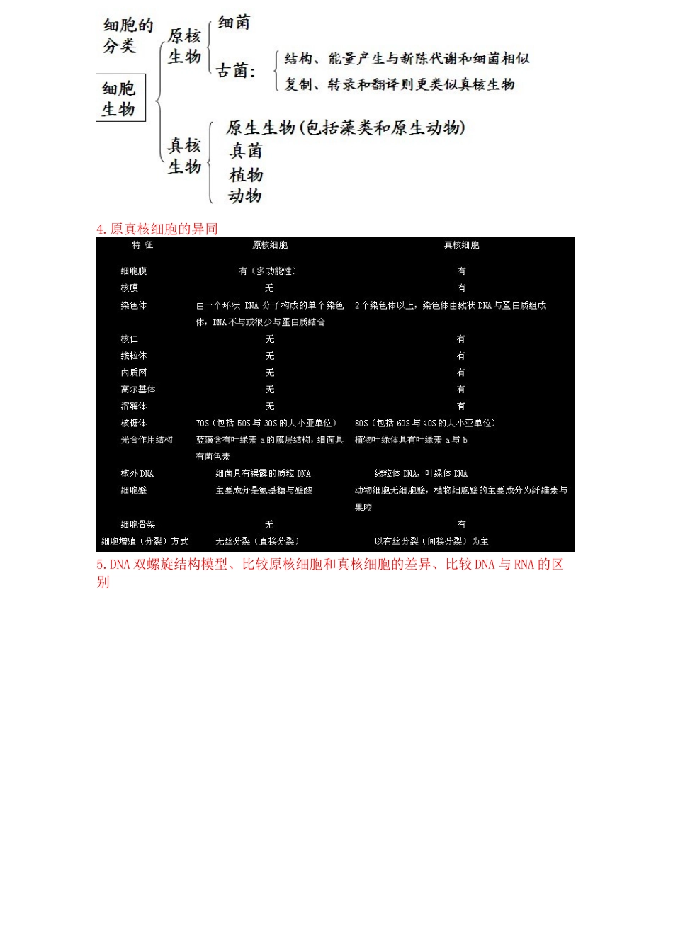 医学学科：细生知识点整理.doc_第2页