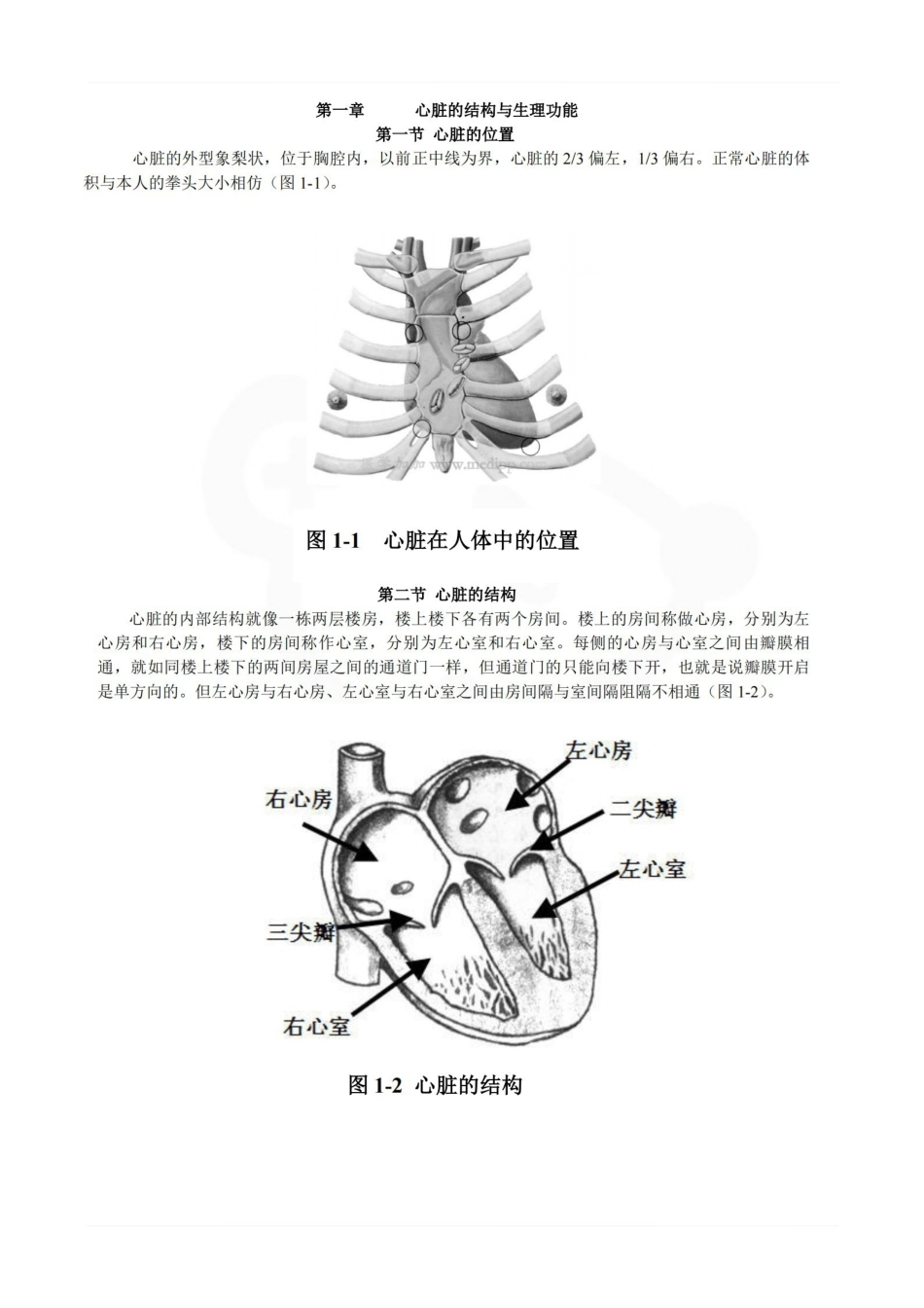 医学学科：心电图--详细笔记.pdf_第1页