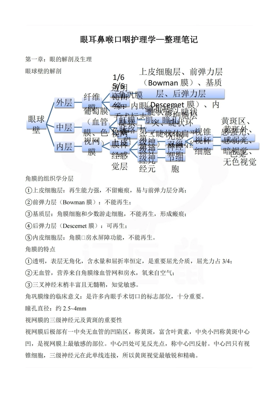 医学学科：眼耳鼻喉口咽护理学—整理笔记.pdf_第1页