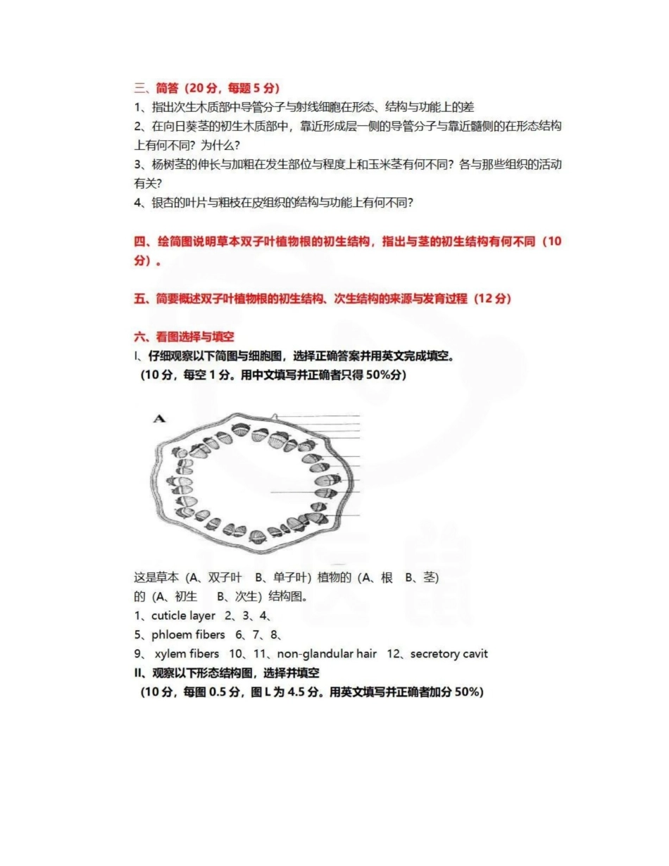 医学学科：药用植物学—题库C.pdf_第3页