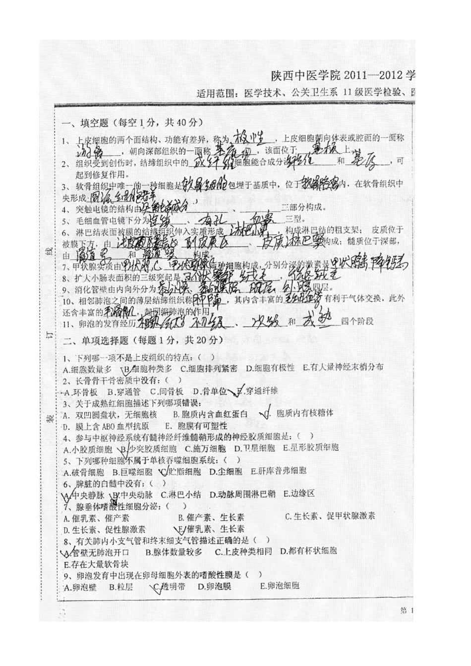 医学学科：组胚卷子.doc_第3页