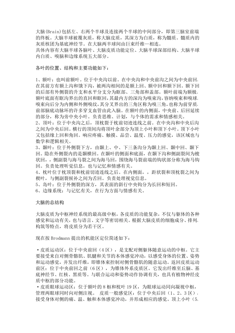 大脑结构与功能.pdf_第3页